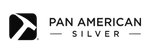 PAN AMERICAN LOGO